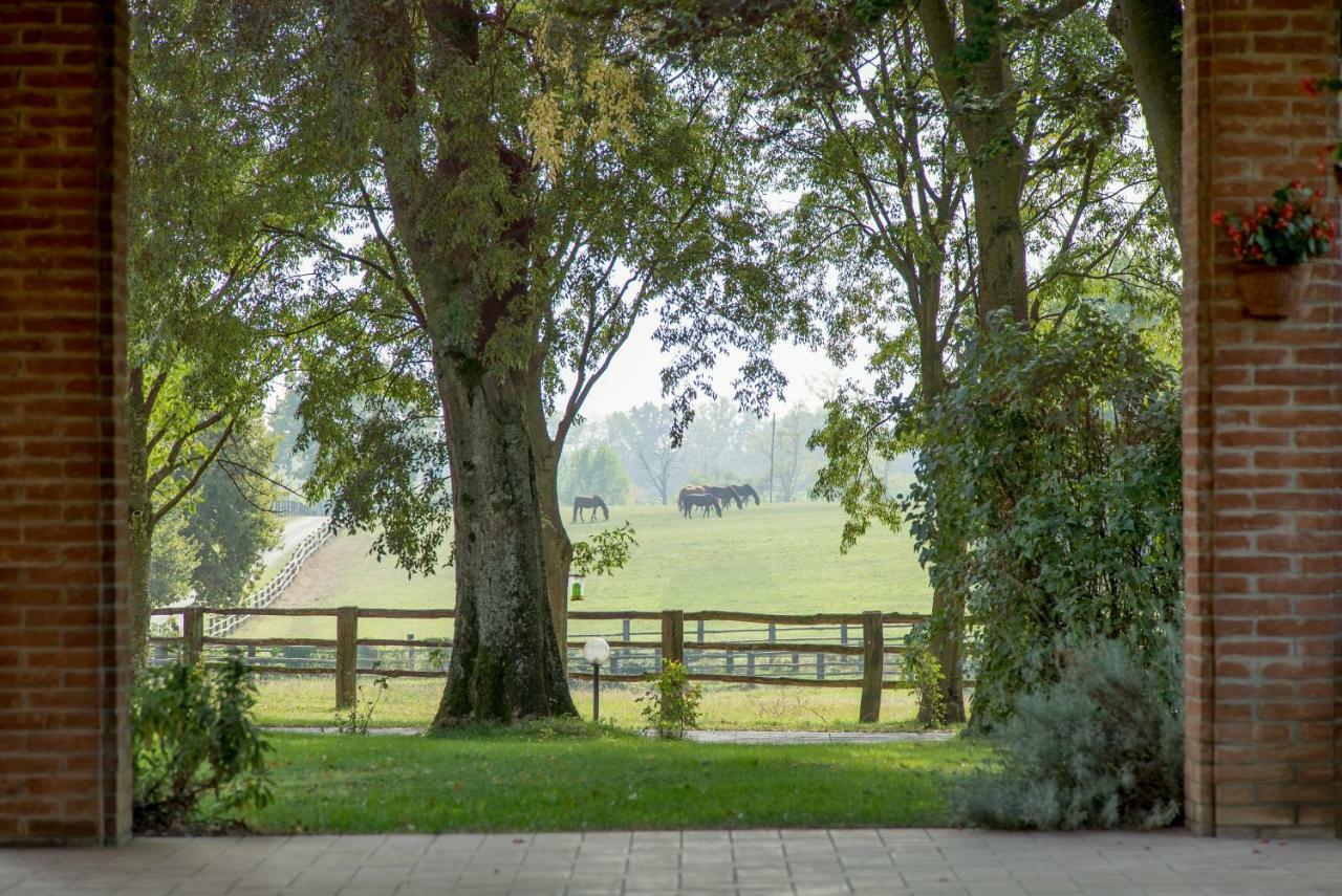 Tenuta Mariano Noceto Kültér fotó